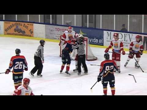 Lucas Larsson hockey fight