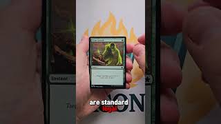 Cracking a pack of MTG Foundations!