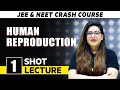 Human Reproduction One Shot Lecture CHAMPIONS NEET CRASH COURSE 2022