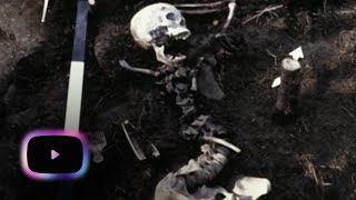 Dead Men Do Talk: The Science of the Perfect Murder
