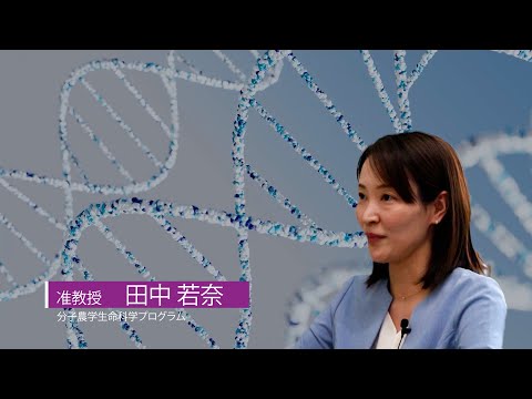 広島大学生物生産学部　教授に聞く　田中若奈准教授