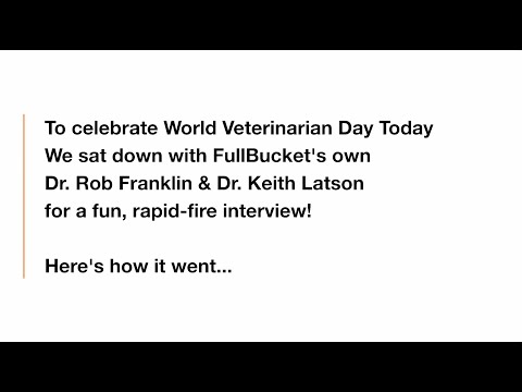 World Veterinary Day 2025: Meet the Veterinarians Behind FullBucket Health