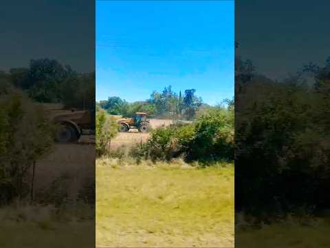 Maravilloso AMBUL, provincia de Córdoba, Argentina.#ambul