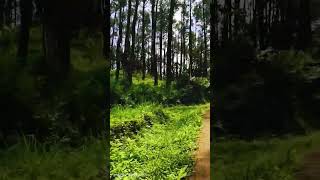 Download lagu Jawa Tengah Cilacap #cilacapjawatengah #youtubeshorts #music mp3 Download lagu Jawa Tengah Cilacap #cilacapjawatengah #youtubeshorts #music mp3