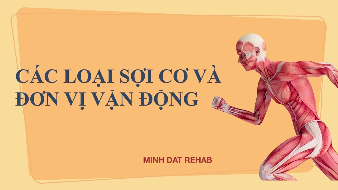 Các loại sợi cơ