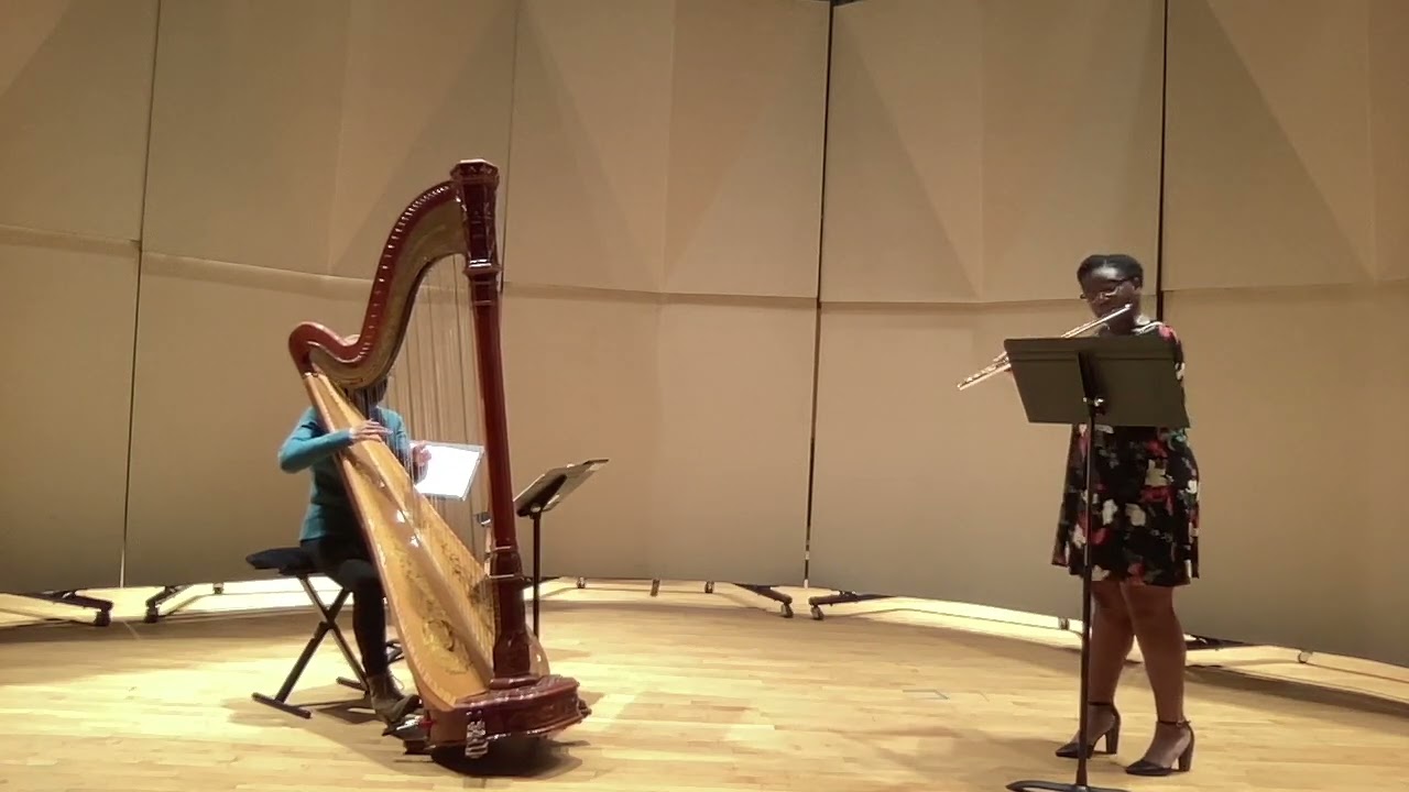 Promotional video thumbnail 3 for Classical Flute/Piccolo Player