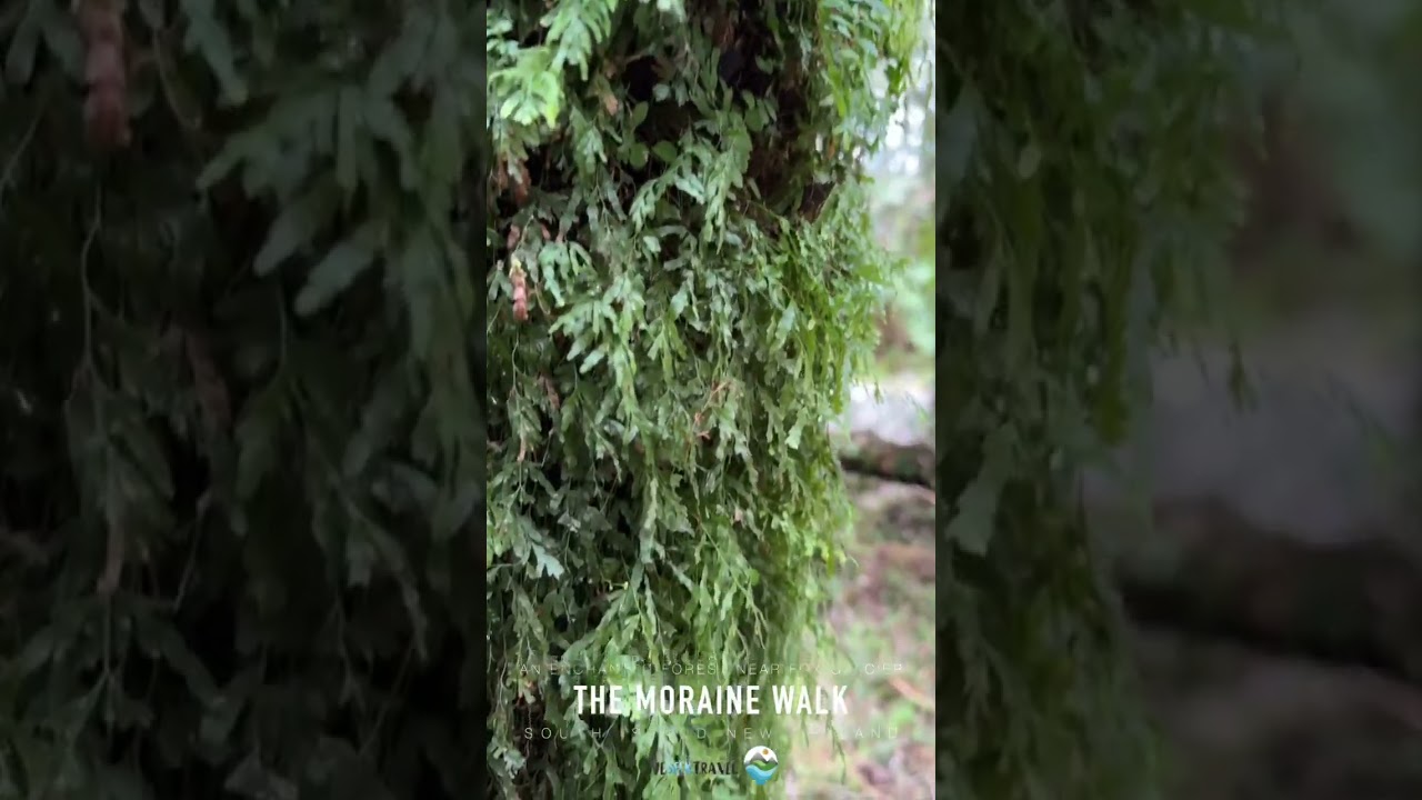 YouTube Short thumbnail