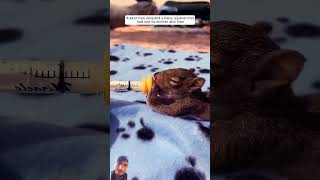 Download lagu https://youtube.com/shorts/8ETDPJVgnsg?si=jVQ_r4d2_T3hFw4m#shots #animals #funny #dance #love mp3