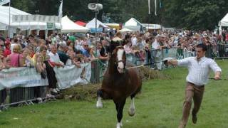 Fieldsports Britain – Crow Shooting, Shane’s Castle game fair, running a charity clay – episode 32
