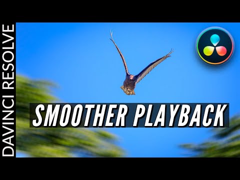 3 Tips for SMOOTH PLAYBACK in DaVinci Resolve 16