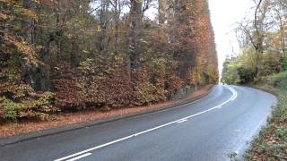 preview picture of video 'Autumn Beech Hedge Meikleour Perthshire Scotland'