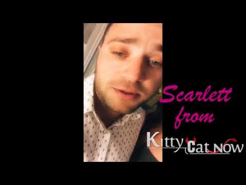 download lagu mp3 mp4 Kitty Cat Now Nashville, download lagu Kitty Cat Now Nashville gratis, unduh video klip Kitty Cat Now Nashville