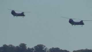 Helicopters and a Mad Dog