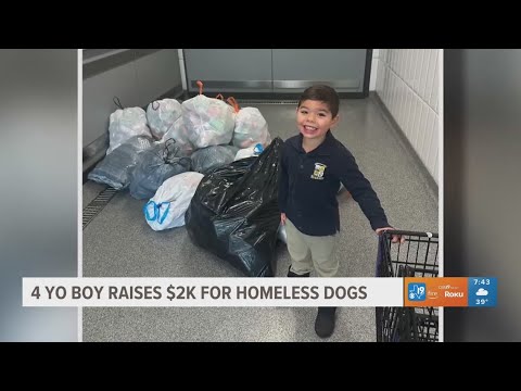 4-year-old boy raises $2,000 for homeless dog - YouTube
