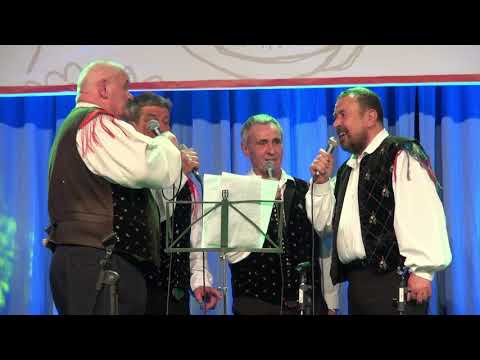 Dobrepoljski fantje in Nejc Kastelic s prijateljema - Želja (v živo)