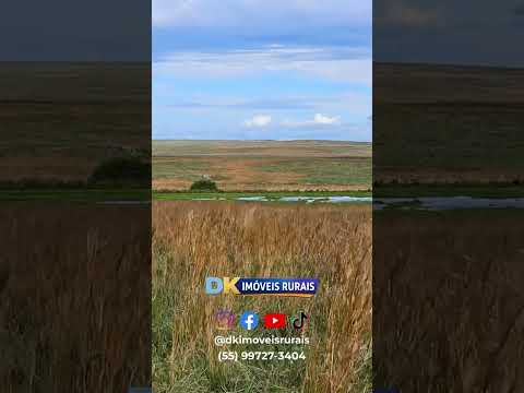 Já pensou em adicionar 1.151 hectares com excelente topografia ao seu patrimônio? 🤔🚜