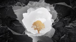 Avicii - Tough Love - Original Version (In Your Arms)