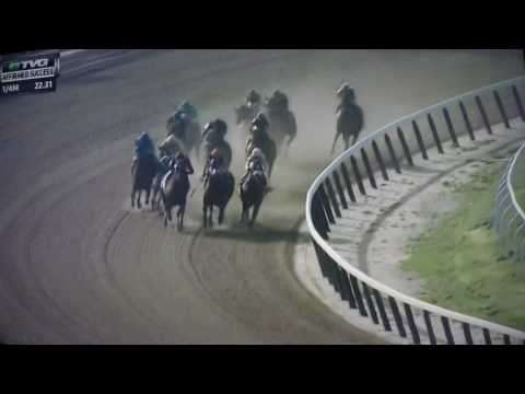 AFFIRMED SUCCESS S. G STAKES $100.000 2017  CELTIC CHAOS