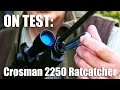 Crosman 2250 Ratcatcher airgun on test