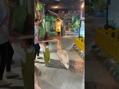 Il a laissé les pensées intrusives l'emporter 🤣