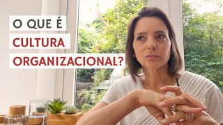 O que é cultura organizacional? #1