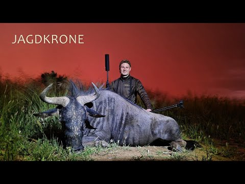 Gnu Jagd in Afrika Namibia | Teil 5 - Jagdkrone