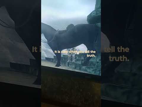 Proof of the secret I found Shadow of the colossus(emotional!!)