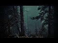 FOREST AT NIGHT Crickets Owls Rain Wind In Trees Relax Study Sleep De Stress 100 RELAX