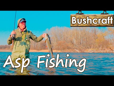 Asp Fishing. Fishing in early spring. [Bushcraft] 2020
