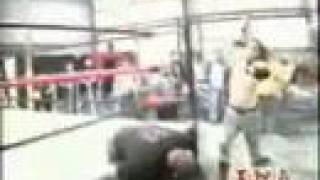 Lou Knox Entrance Video