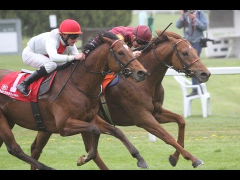 München: www.pferdewetten.de - Bavarian Classic (Gruppe 3)