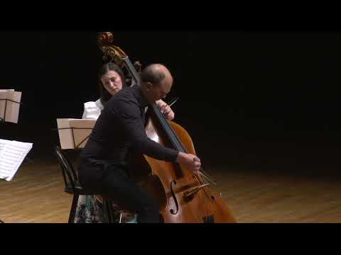 Giovanni Bottesini - Fantasia on themes from Bellini's "Sonnambula" for Double Bass and Strings
