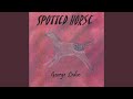 Spotted Horse