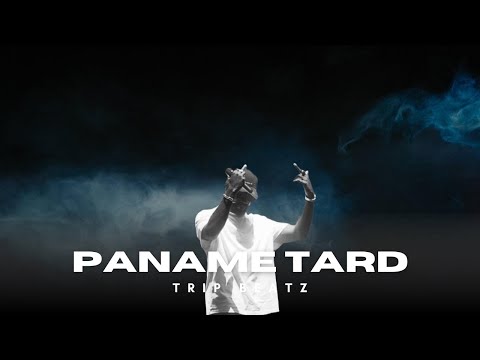 Ninho x Plk x Sdm Type Beat – "Paname Tard" | Instru Rap 2025