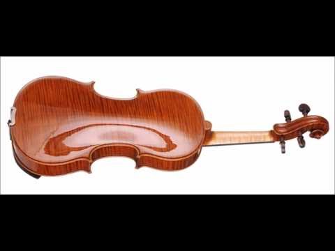 Marcin Krupa - Finalist - 13th Wieniawski Violin Making Comp. | binaural recording | chamber hall