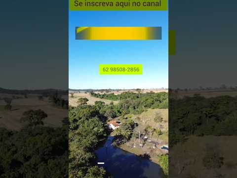Excelente sítio de 4 alqueires em Bonfinópolis GOIÁS #brasil #agro #bonfinopolis #gado #agricultura