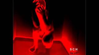 SCH - In The Wake Of The Crimson King (a tribute song to K.C.)