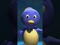 The BAcKyArdiGaNs