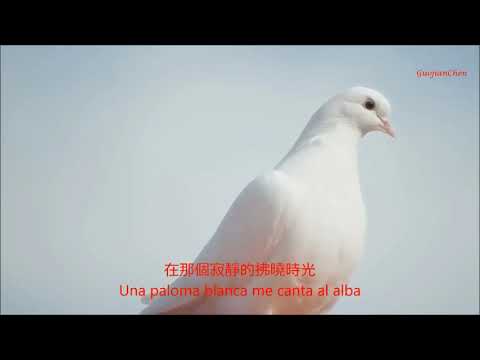 胡里奥最好聽的歌  世界名曲《鸽子》 歌詞全新譯配最新精心制作  La paloma   Julio Iglesias