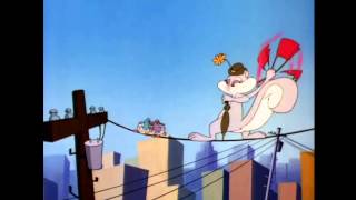 Cover art for Animaniacs Opening Season 3