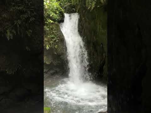La cascada del amor, Calima el Darién