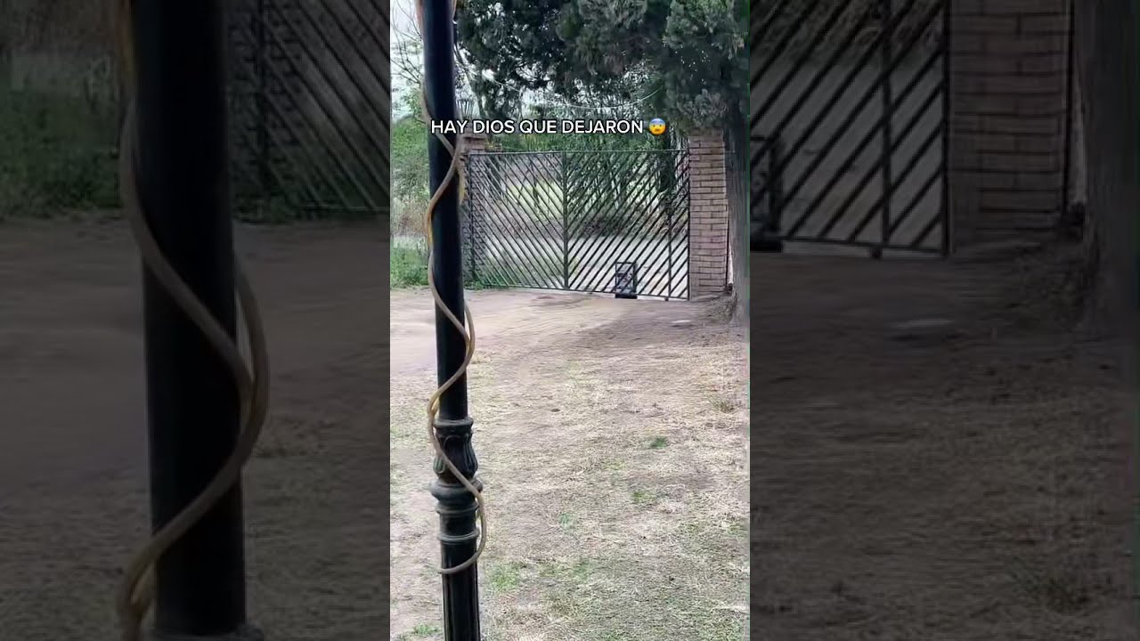 QUE DEJARON DIOS 😨 #terror #miedo #horror #halloween #misterio #paranormal