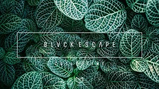 Petit Biscuit &amp; Møme - Gravitation (feat. Isaac Delusion)