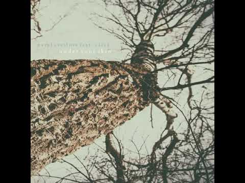 PREMIERE: Pavel Svetlove feat. Vâlvâ - Under Your Skin (baez Remix) [L'enfant terrible Records]