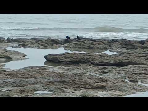 Kya khubsurat nazara hai beach ka | pal pal pal har pal kaise katega har par #travel #beach #sea