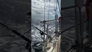 The feeing of open ocean , good wind direction and sails up is amazing ⛵️ #shorts #sailing #bahamas