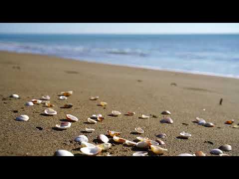 best beach in the world