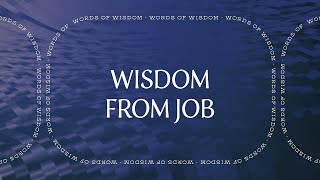 Wisdom From Job