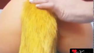 Video de Masturbador Cola Reef