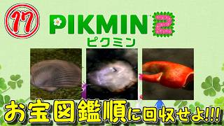 【記憶力勝負】#17 (終)図鑑順でないとお宝が回収できない縛り【ピクミン2】